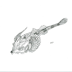 Art-tekeningen Vissen